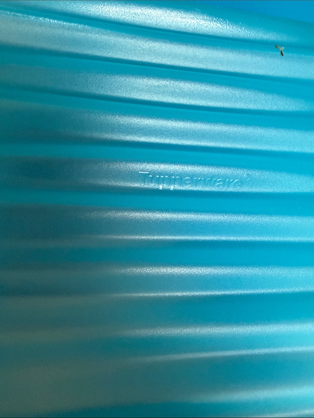 Tupperware FridgeSmart Container - Picture 6 of 7